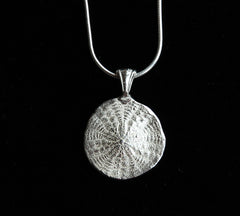 Sand Dollar Medium Pendant