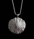 Large Sand Dollar Pendant