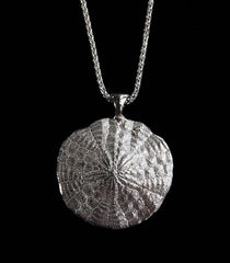 Large Sand Dollar Pendant