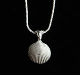 Small Seashell Pendant