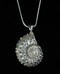 Ammonite Whole Pendant