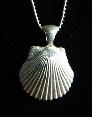 Seashell Pendant